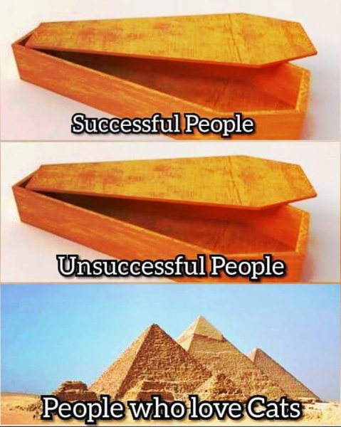 40407572_10216939909788096_1126251346836586496_n.jpg 40407572_10216939909788096_1126251346836586496_n.jpg