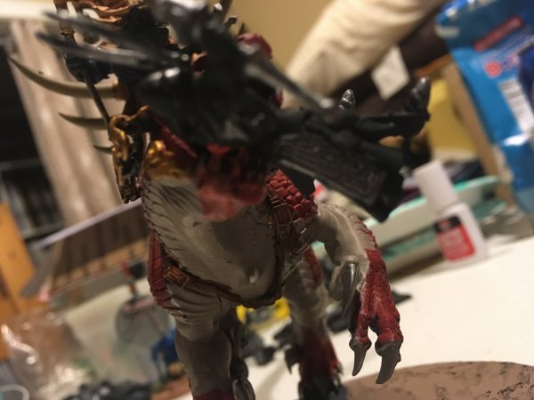 B90CB332-C269-4AF5-AFBF-8C31A185AED1.jpeg B90CB332-C269-4AF5-AFBF-8C31A185AED1.jpeg