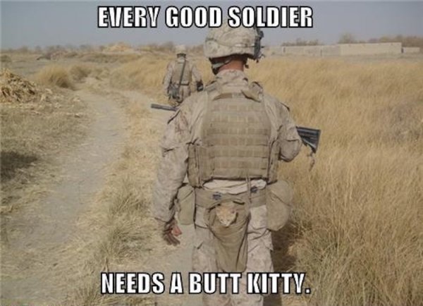 Funny-Veterans-Day-Images.jpg