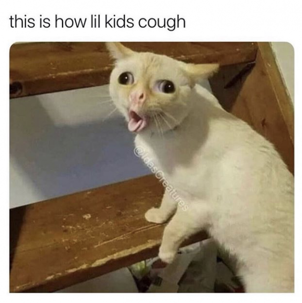 coughing-cat.png