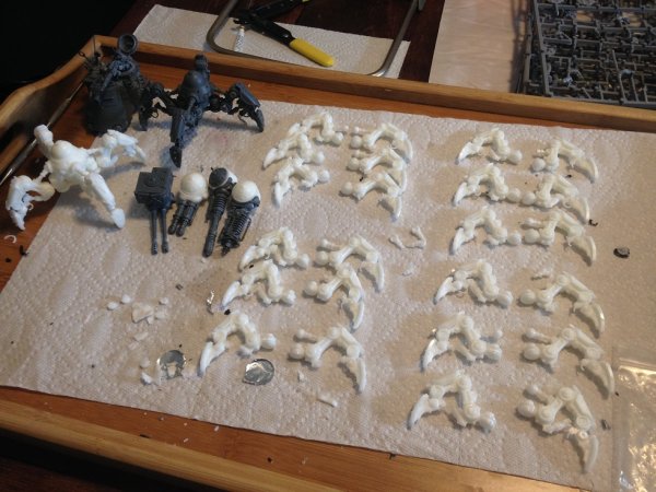 warden201812_casting.jpg warden201812_casting.jpg