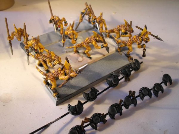 skinks12.jpg skinks12.jpg