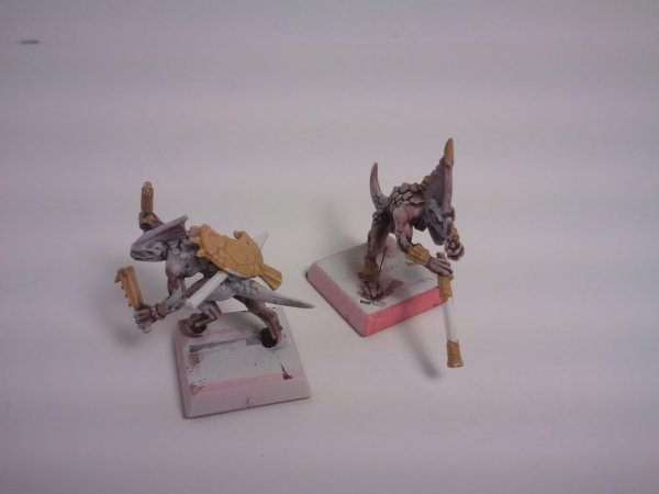 SkinkWithYellow2.jpg SkinkWithYellow2.jpg