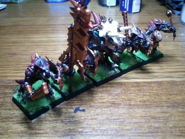 Lizards2.jpg Lizards2.jpg