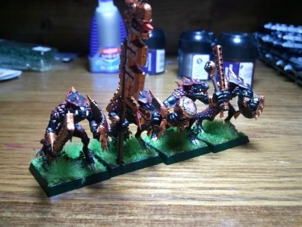 Lizards1.jpg Lizards1.jpg