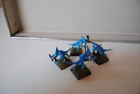 20120315SkinkSkirmishersWBlowPipePic03.jpg 20120315SkinkSkirmishersWBlowPipePic03.jpg
