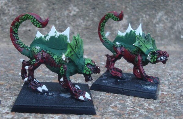 salamanders1.jpg salamanders1.jpg