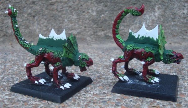 salamanders2.jpg salamanders2.jpg