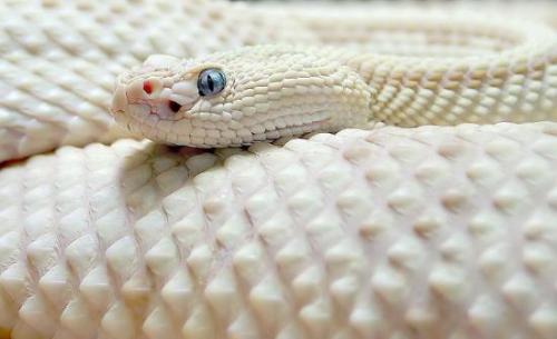 2098655.jpg 2098655.jpg