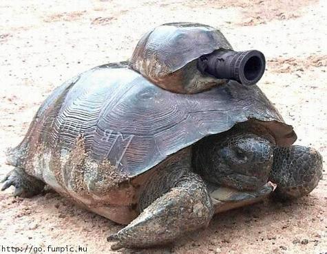 tartaruga-ninja.jpg