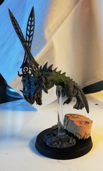 IMG_20190215_162446.jpg IMG_20190215_162446.jpg