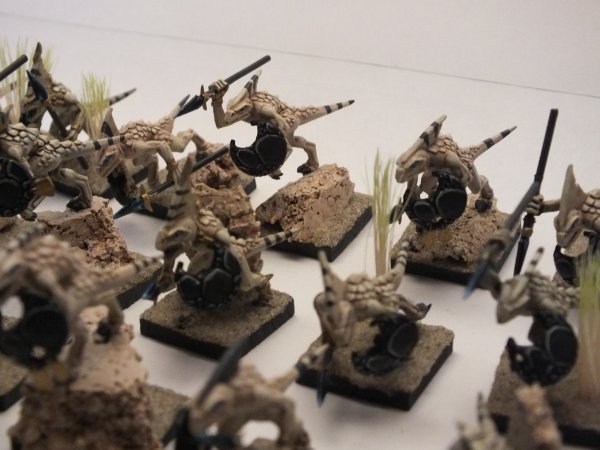 DSCF4571.JPG DSCF4571.JPG