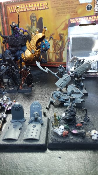 Unit fillers and Tomb Guards.jpg