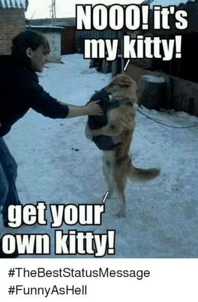 000-its-my-kitty-get-your-own-kitty-thebeststatusmessage-funnyashell-6138714.png