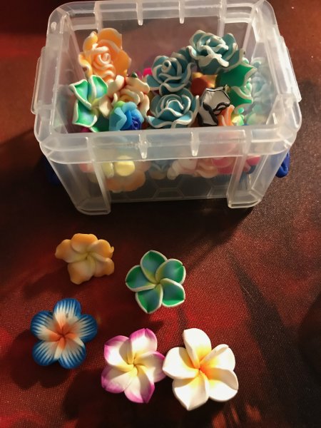 IMG_3899.jpeg IMG_3899.jpeg