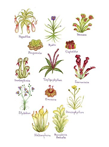 Screenshot 2019-04-15 at 11.07.38.png