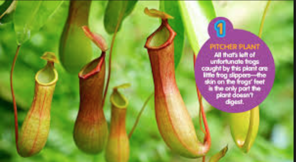 Screenshot 2019-04-15 at 11.07.48.png