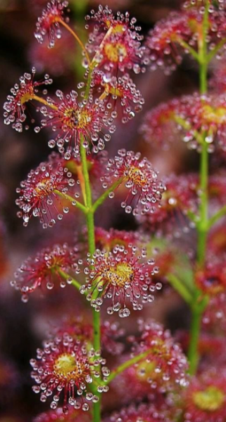 Screenshot 2019-04-15 at 11.10.11.png