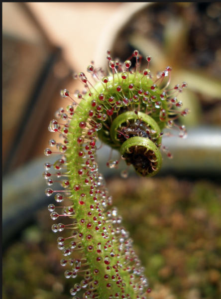 Screenshot 2019-04-15 at 11.10.00.png