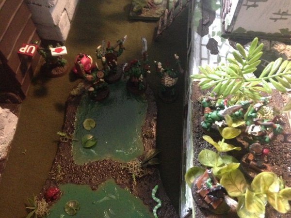 warden20181228_monkeys in the tower_deployment 1.jpg warden20181228_monkeys in the tower_deployment 1.jpg