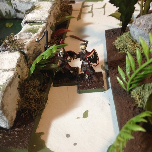 warden20181228_monkeys in the tower_battle 06.jpg warden20181228_monkeys in the tower_battle 06.jpg