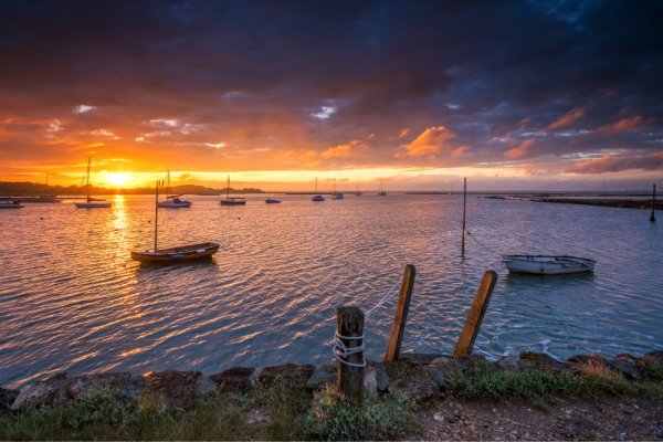 CCD185AF-0AED-43A3-87A6-C6157B08E2BF.jpeg CCD185AF-0AED-43A3-87A6-C6157B08E2BF.jpeg