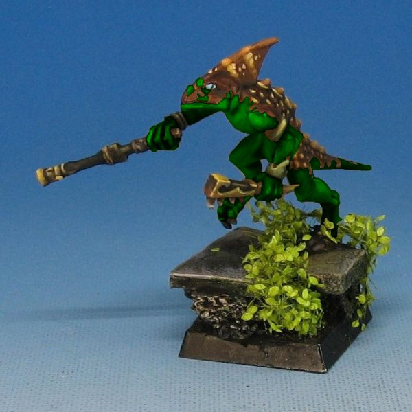 brown greek skink.jpg brown greek skink.jpg