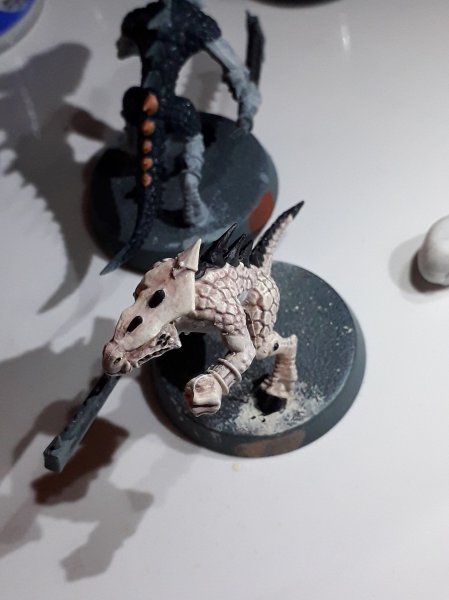 64353386_2362571284066577_4484701844282540032_n.jpg 64353386_2362571284066577_4484701844282540032_n.jpg