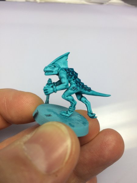 skink_contrast1.jpg skink_contrast1.jpg