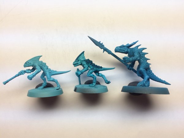 skink_contrast2.jpg skink_contrast2.jpg