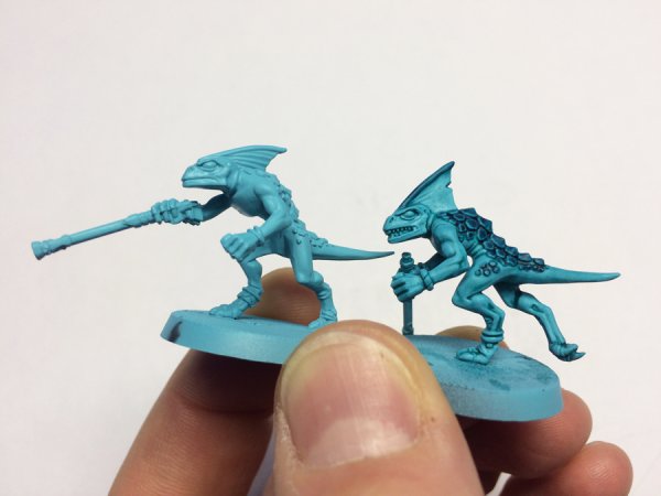 skink_contrast3.jpg skink_contrast3.jpg