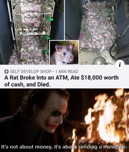 rat atm.jpg