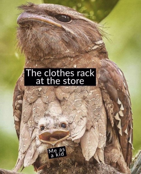 potoo clothes rack.jpg