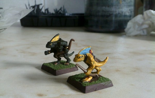 Skinks 1.JPG