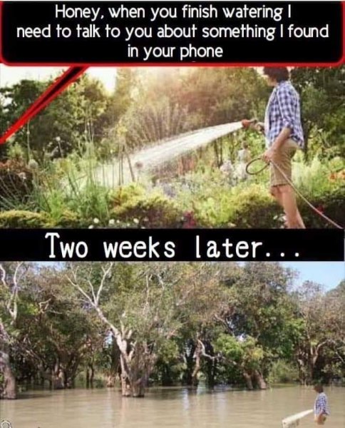 66348772_766015593843520_4491278186537025536_n.jpg 66348772_766015593843520_4491278186537025536_n.jpg