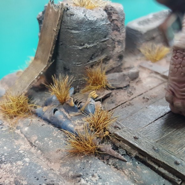 IMG_20190724_170128.jpg IMG_20190724_170128.jpg