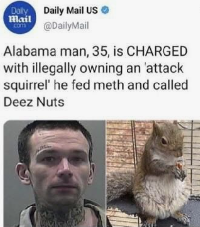 deeznutsattacksquirrel.png