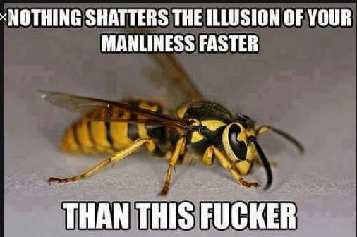 upload_2019-8-28_13-59-12.png upload_2019-8-28_13-59-12.png