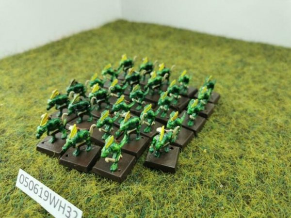 skink archers.jpg