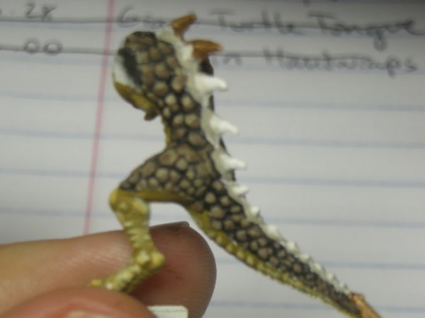 WarhammerLizardmen007.jpg WarhammerLizardmen007.jpg