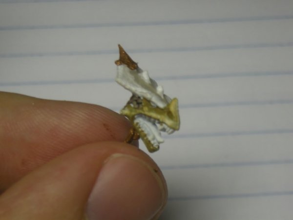 WarhammerLizardmen008.jpg WarhammerLizardmen008.jpg