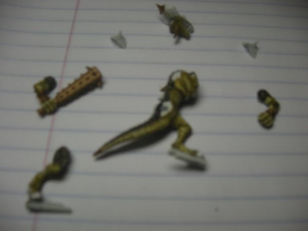 WarhammerLizardmen004.jpg WarhammerLizardmen004.jpg