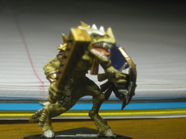 WarhammerLizardmen021.jpg WarhammerLizardmen021.jpg