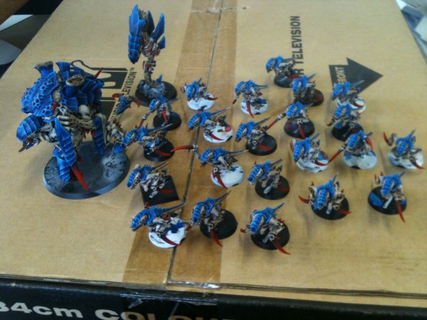 photo1df.jpg photo1df.jpg