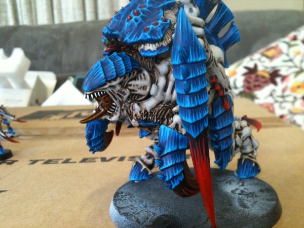 carn3t.jpg carn3t.jpg