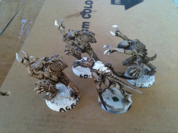 agraxvdev.jpg agraxvdev.jpg