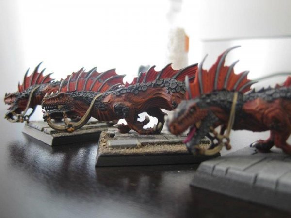 salamanders.jpg salamanders.jpg