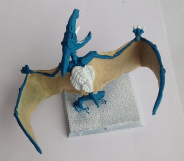 1fc05082.jpg 1fc05082.jpg