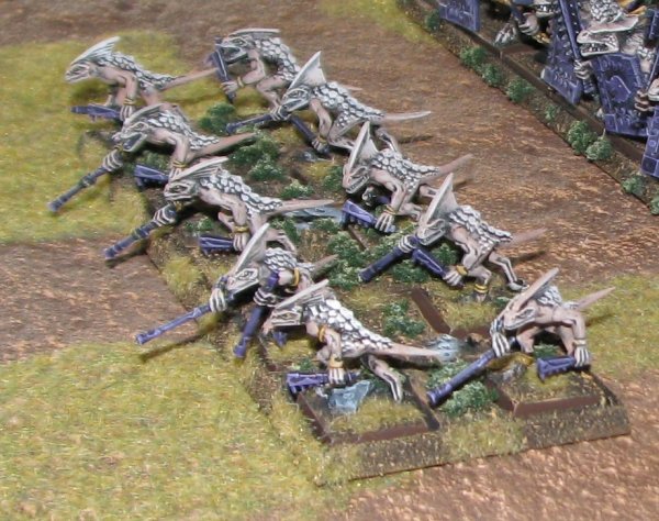 Skinks1.jpg