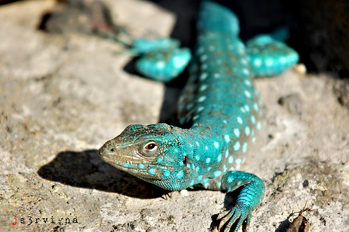 3443534798_3315011c87.jpg 3443534798_3315011c87.jpg